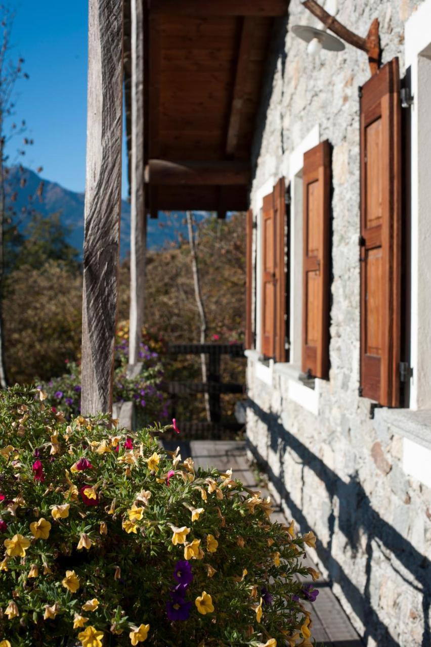 Agriturismo La Pedruscia Civo エクステリア 写真