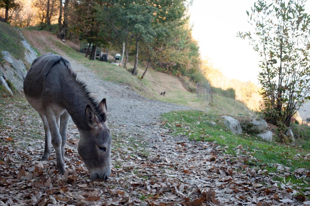 Agriturismo La Pedruscia Civo エクステリア 写真
