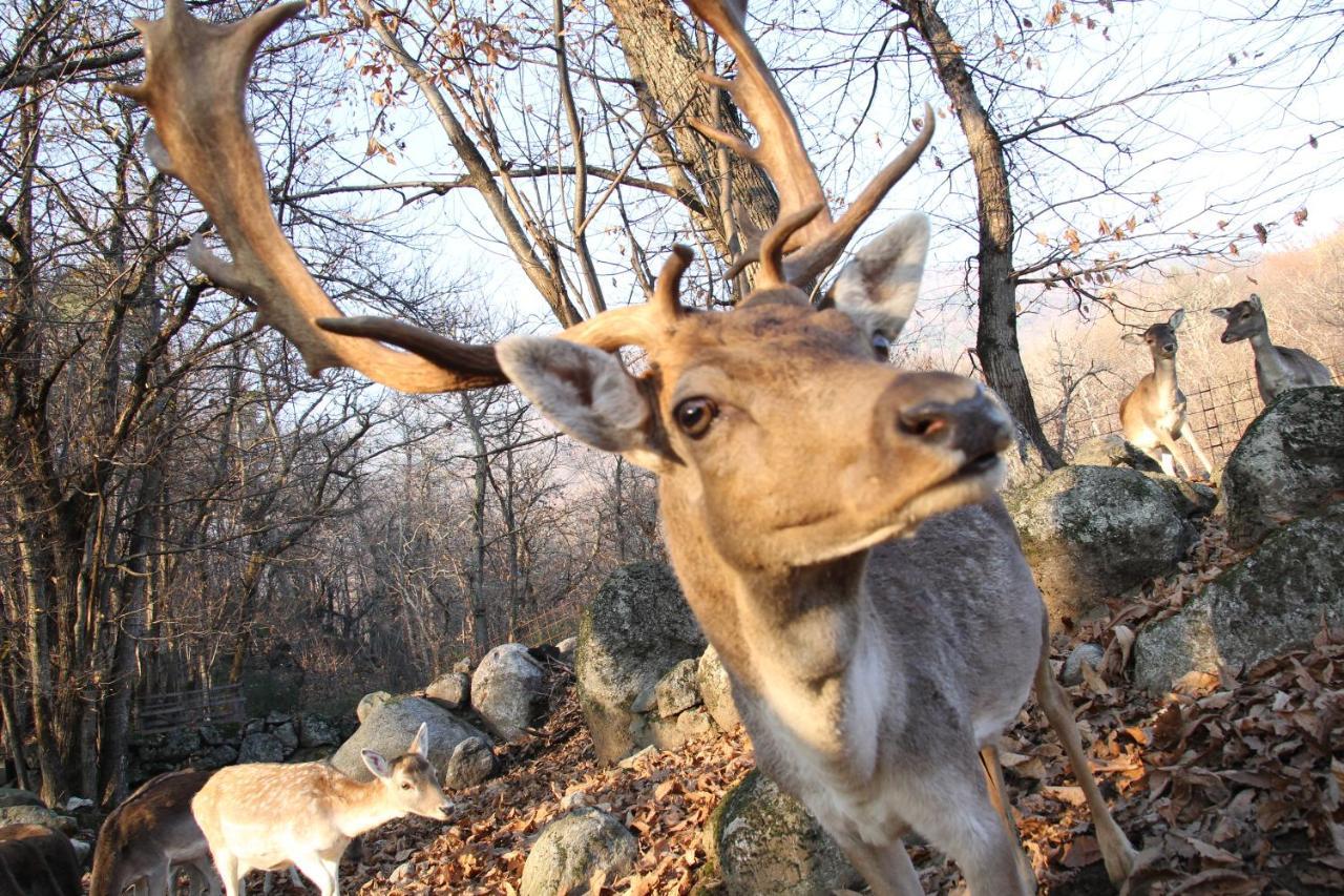 Agriturismo La Pedruscia Civo エクステリア 写真